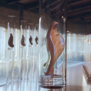 pia-almoina-1998-guido-dettoni-02