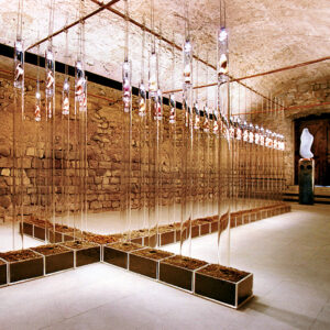 vic-1999-guido-dettoni-06