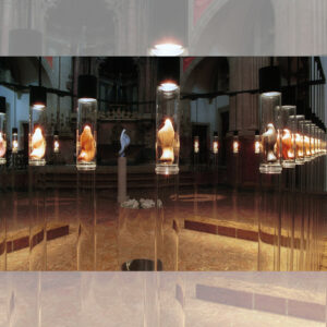 sant-antoniet-p-mallorca-guido-dettoni-09