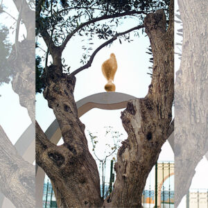 colegio-la-purisima-guido-dettoni-05