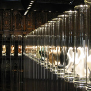 san-martin-pinario-2002-guido-dettoni-07